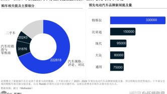 2025年消费者洞察：新能源汽车行业报告