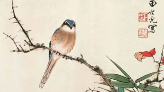 中国画学习避坑指南