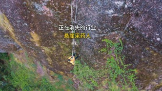 你見過在崖壁攀蕩的“空中飛人”嗎？走進江西龍虎山懸崖采藥人