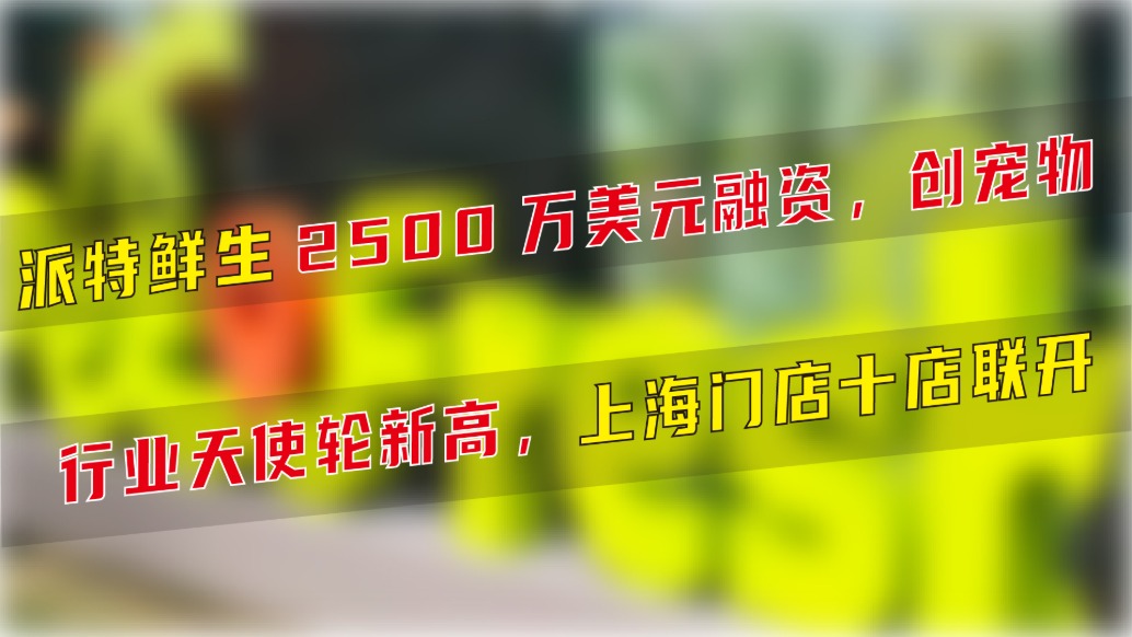 派特鮮生2500萬美元融資,創(chuàng)寵物行業(yè)天使輪新高