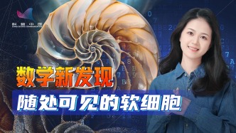 全新几何形状被发现！随处可见的软细胞已存在亿万年