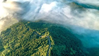 【美丽四川】繁花胜处是中江‖曹丰