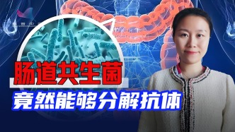肠道共生菌能分解抗体？重新认识免疫系统