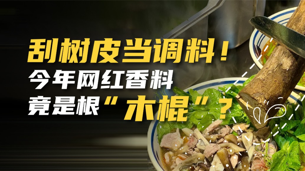 刮樹皮當調料!今年網紅香料竟是根“木棍”?