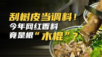 刮樹皮當調料！今年網紅香料竟是根“木棍”？
