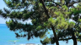 全部免费！在公园遇见青岛绝美海景~