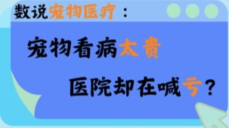 数说宠物医疗：宠物看病太贵，医院却在喊亏？