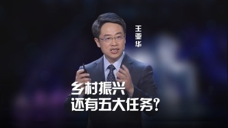 清华教授王亚华：乡村振兴还有五大任务