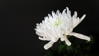 巨星陨落，朱森元院士逝世