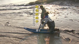 在浙江寧海灘涂騎海馬、討小海、抓蟶子的快樂，誰懂呀