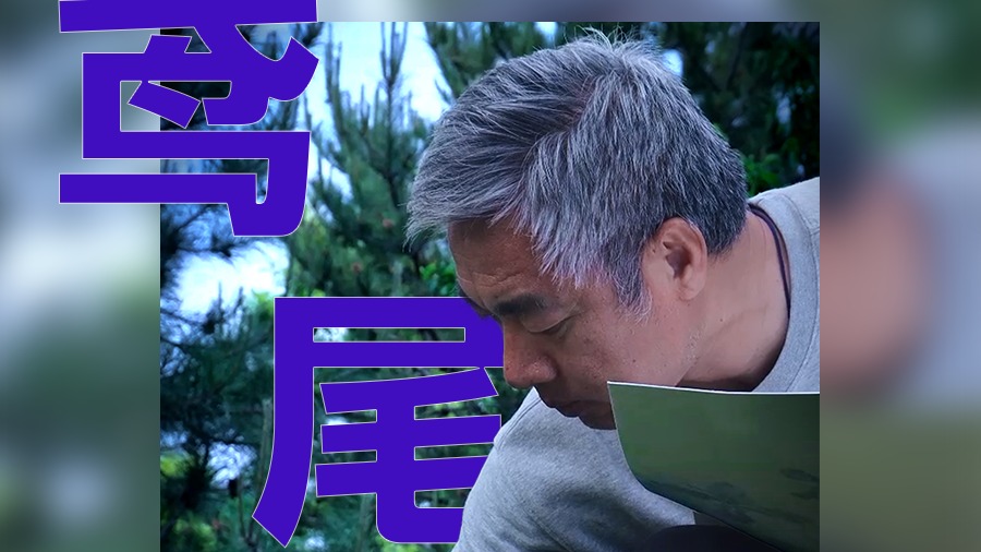 半簾花影間,鳶尾垂首聽春聲:鳶尾花國畫寫生