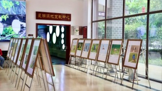 5月17日，这场沉浸式活动将在肇庆七星岩东门广场举行↘
