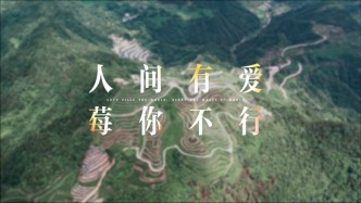 助残公益片温情上线，以茶为媒讲述中国故事