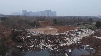 觸目驚心！永久基本農(nóng)田淪為垃圾場，整改為何成“紙面工程”？