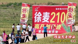 徐麦2100：亩产可达1800斤丨河南茂丰种业
