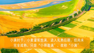 今日小满，愿你幸福满满！