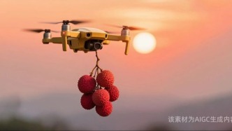 央視報道：荔枝飛上天！