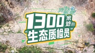 綠野尋蹤①｜1300米處的“生態質檢員”