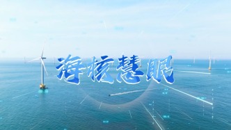 中國電信+中廣核這波科技疊buff，助力風(fēng)電場事故率下降80%