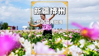 端午去哪兒玩？新疆博州賞花去！芍藥花開，如毯如海，美不勝收