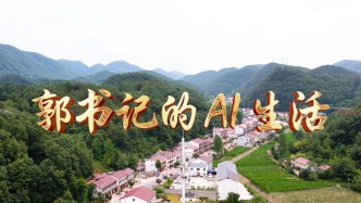 電信AI智慧鄉村賦能，讓老村一鍵升級“智慧模式”！