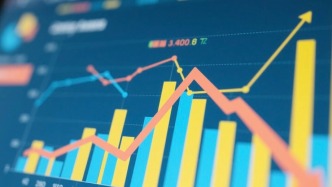 依依股份｜寵物行業上市公司2024年報簡析