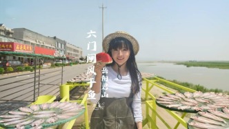 你見過洞庭湖曬魚奇觀嗎？打卡中國風干魚之鄉