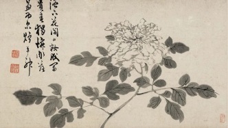 陳淳·寫生·牡丹丨私享藝術(shù)
