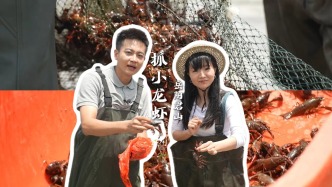 龍蝦也“掐架”？岳陽(yáng)君山小龍蝦塘上演“鉗王爭(zhēng)霸”，太猛了！