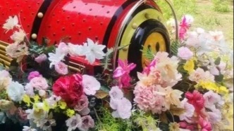 藏不住了！濟南這3個寶藏地承包你的“花花世界”