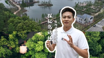 “闭上眼听！君山鸟语林沉浸式体验：万鸟齐鸣的自然交响乐”