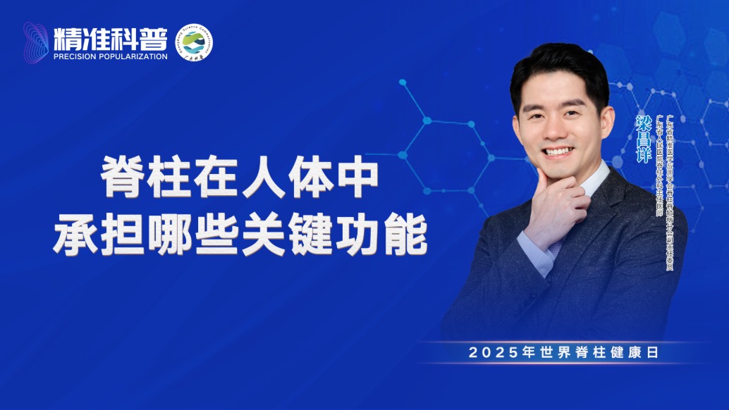 脊柱在人體中承擔(dān)哪些關(guān)鍵功能