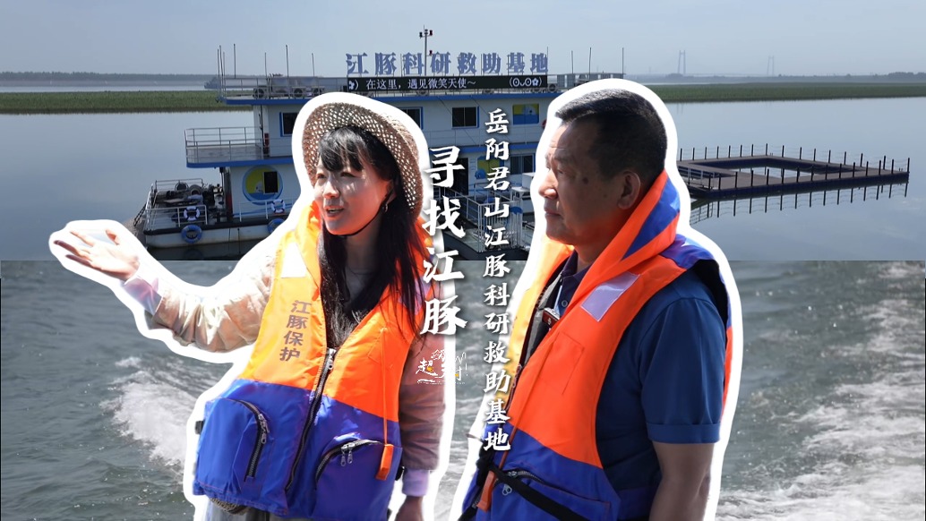 能否邂逅看緣分!跟著科考隊尋找洞庭湖江豚,結果出乎意料...