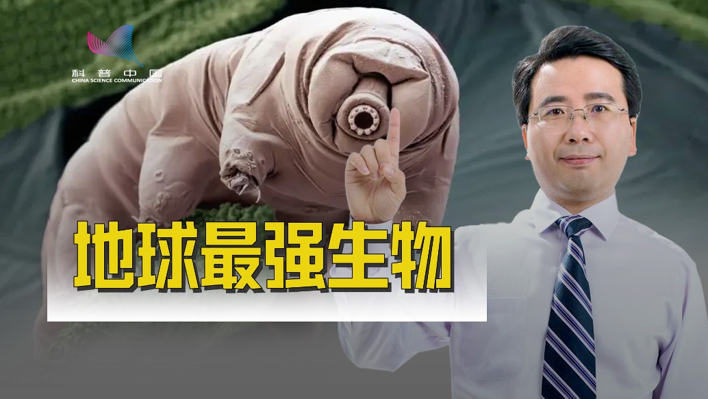 5000戈瑞辐射都杀不死！三大“神级”机制让水熊虫成为地球最强生命体