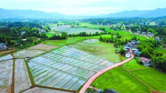 四川營(yíng)山：盤活集體經(jīng)濟(jì)，賦能鄉(xiāng)村振興