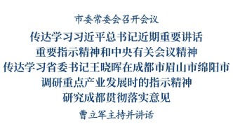 市委常委會召開會議