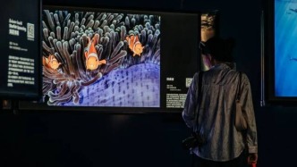 來桂城打卡自然影像“奧斯卡”展！