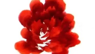 橙红牡丹的画法步骤图示解析