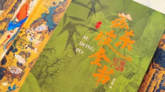 太绝了！这本《苏东坡全书》边看边起鸡皮疙瘩