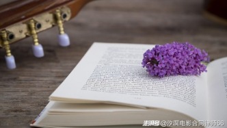 影片項目“風險共擔、盈虧自負”中的風險是否僅指票房或收益風險？