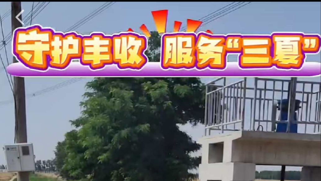 我的家鄉(xiāng)德州市陵城區(qū)臨齊街道鳳凰樹村的大豐收季節(jié)