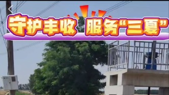 我的家鄉(xiāng)德州市陵城區(qū)臨齊街道鳳凰樹(shù)村的大豐收季節(jié)