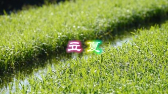 立夏——孟夏之日 天地始交 萬物并秀