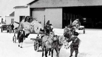 【红色记忆】为人民航空事业培养“种子”——东北老航校创建始末 