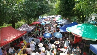 太熱鬧啦！德慶一年一度的千年圩日今天你“趁”了嗎？