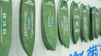 五月“节连不断”，不同节日想要的情绪，品牌给对了吗？丨趋势案例