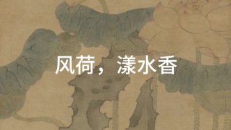 夏荷有多美？