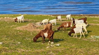 濟(jì)南出發(fā)1.5小時(shí)直達(dá)！寶藏小城沂源私藏23℃的夏天，N刷不膩！