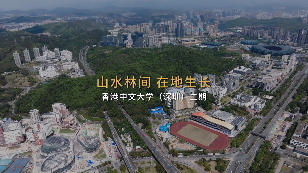 紀實報道|一份香港中文大學(深圳)二期的建設檔案