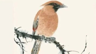 太平鸟的写意技法